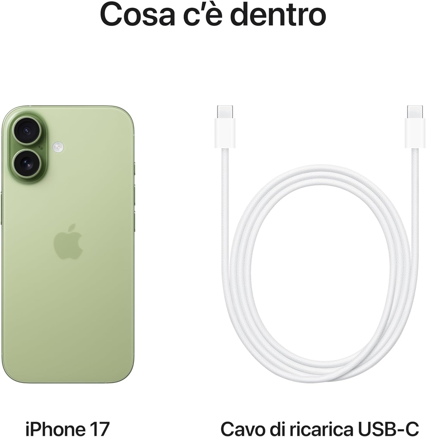 Apple iPhone 17 256 GB VERDE SALVIA CPU A19; 1 ANNO GARANZIA APPLE