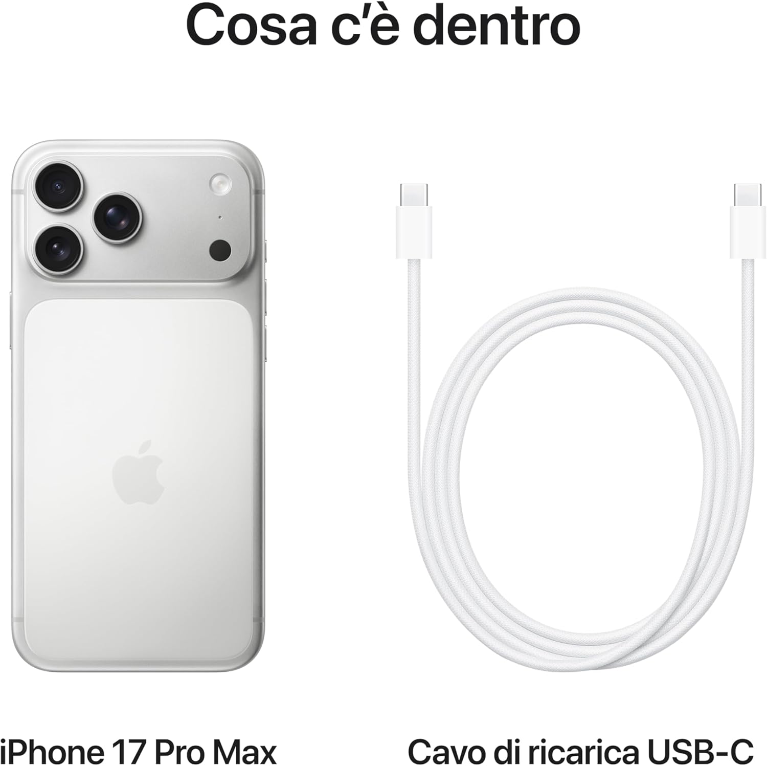 Apple iPhone 17 Pro 256GB SILVER CPU A19 Pro 1 ANNO GARANZIA